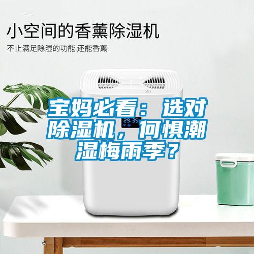 寶媽必看：選對除濕機(jī)，何懼潮濕梅雨季？