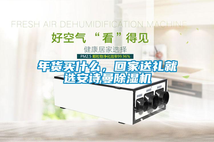年貨買什么，回家送禮就選安詩曼除濕機(jī)