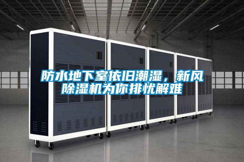 防水地下室依舊潮濕，新風(fēng)除濕機為你排憂解難