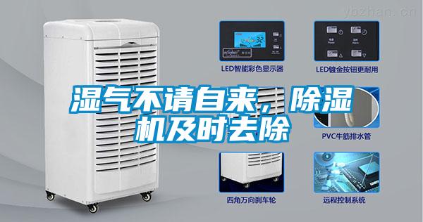 濕氣不請(qǐng)自來(lái)，除濕機(jī)及時(shí)去除