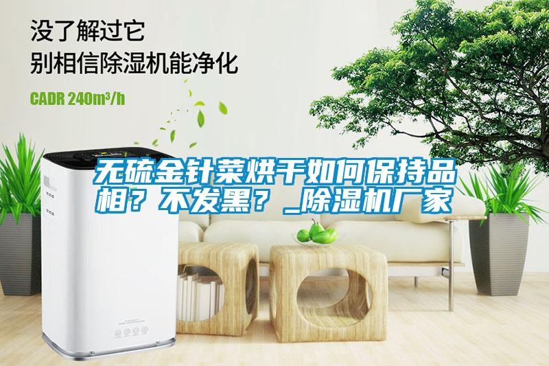 無硫金針菜烘干如何保持品相？不發(fā)黑？_除濕機(jī)廠家