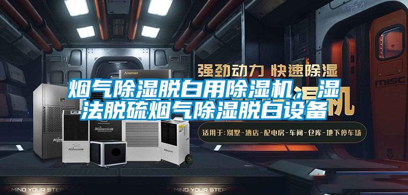 煙氣除濕脫白用除濕機，濕法脫硫煙氣除濕脫白設備