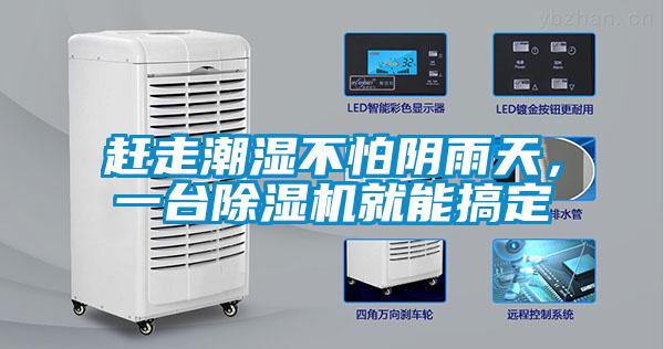 趕走潮濕不怕陰雨天，一臺除濕機就能搞定