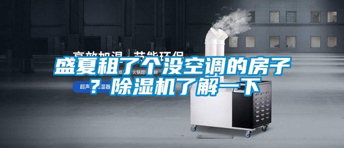 盛夏租了個沒空調的房子？除濕機了解一下