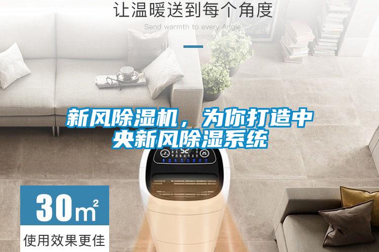 新風除濕機，為你打造中央新風除濕系統