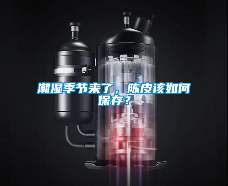 潮濕季節(jié)來(lái)了，陳皮該如何保存？