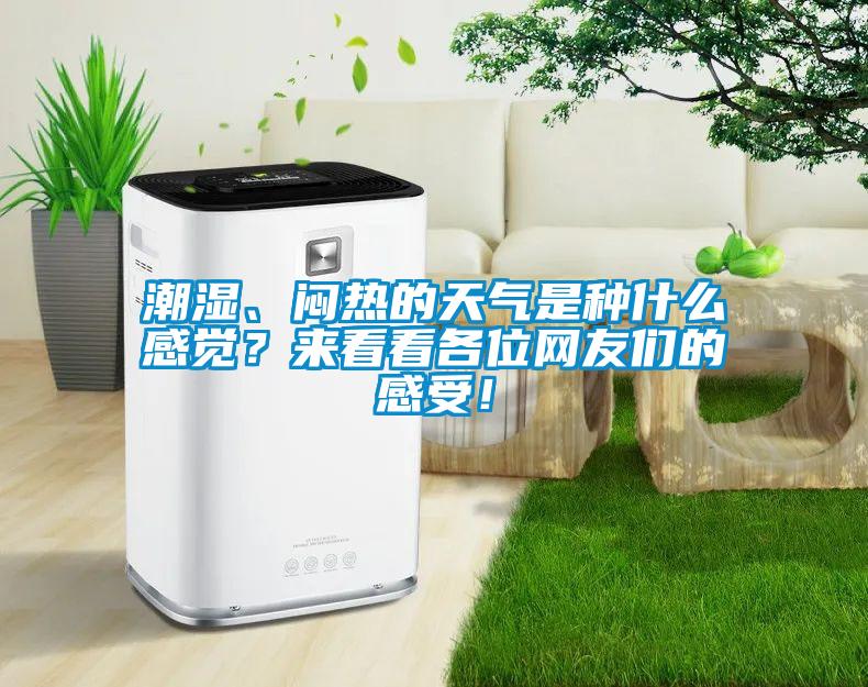 潮濕、悶熱的天氣是種什么感覺？來看看各位網友們的感受！