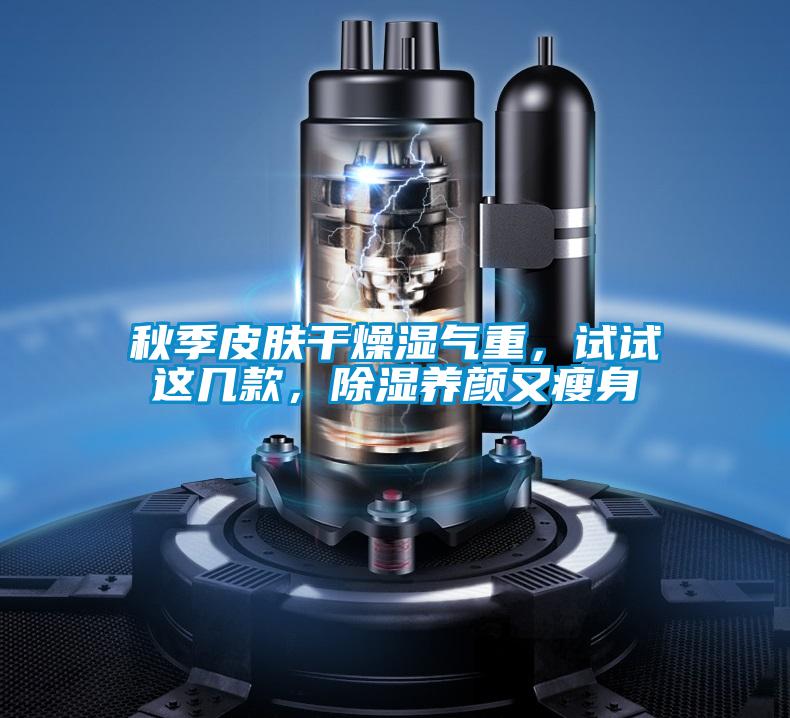 秋季皮膚干燥濕氣重，試試這幾款，除濕養顏又瘦身