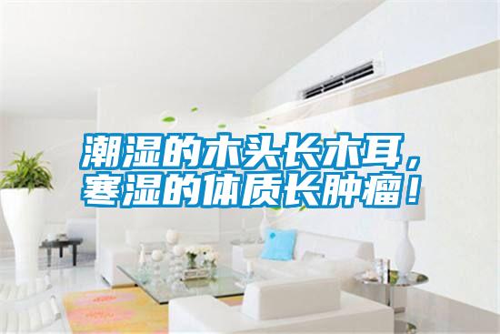 潮濕的木頭長木耳，寒濕的體質長腫瘤！