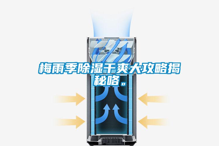 梅雨季除濕干爽大攻略揭秘咯。