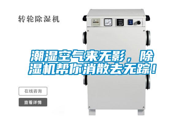 潮濕空氣來無影，除濕機幫你消散去無蹤！