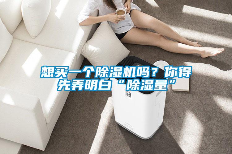 想買一個除濕機嗎？你得先弄明白“除濕量”
