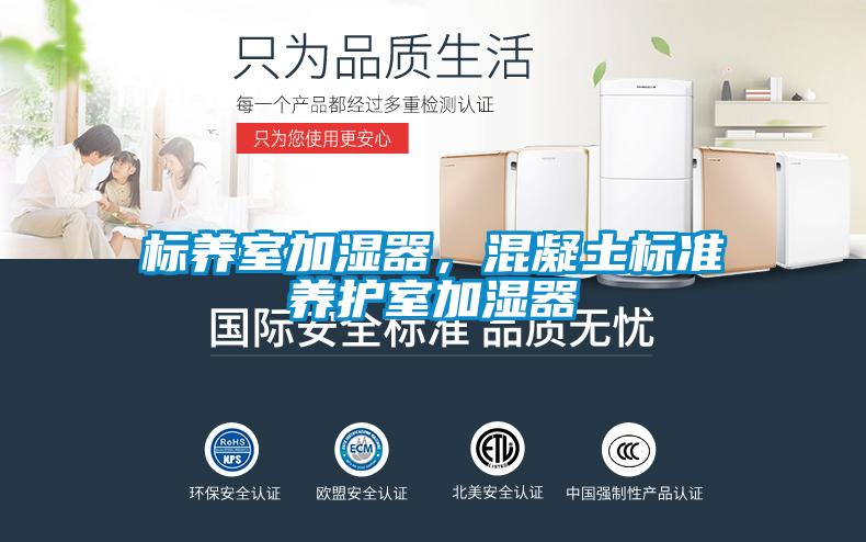 標(biāo)養(yǎng)室加濕器，混凝土標(biāo)準(zhǔn)養(yǎng)護(hù)室加濕器