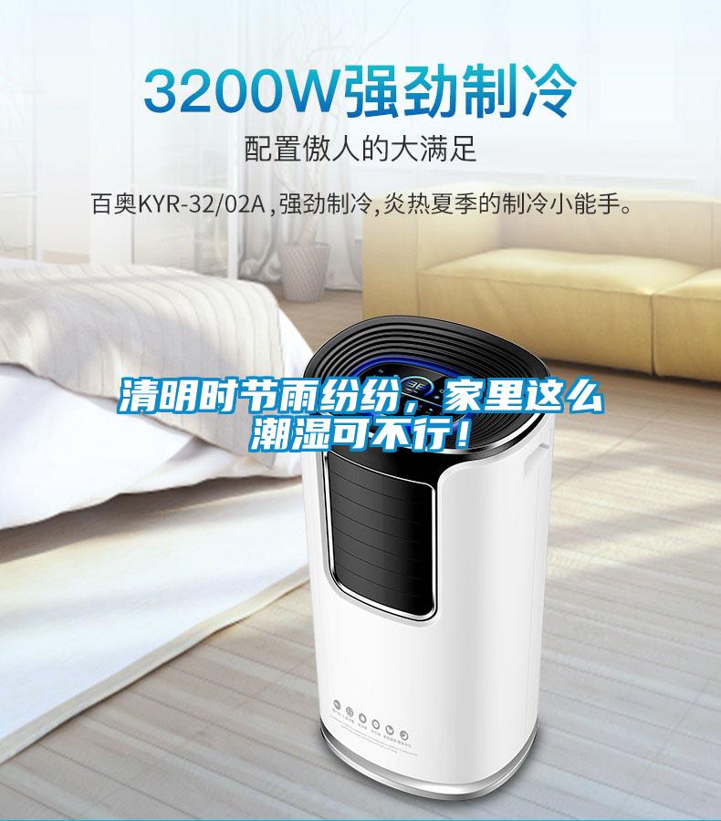 清明時(shí)節(jié)雨紛紛，家里這么潮濕可不行！