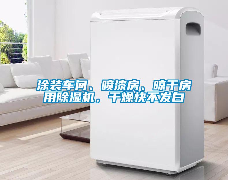 涂裝車(chē)間、噴漆房、晾干房用除濕機(jī)，干燥快不發(fā)白