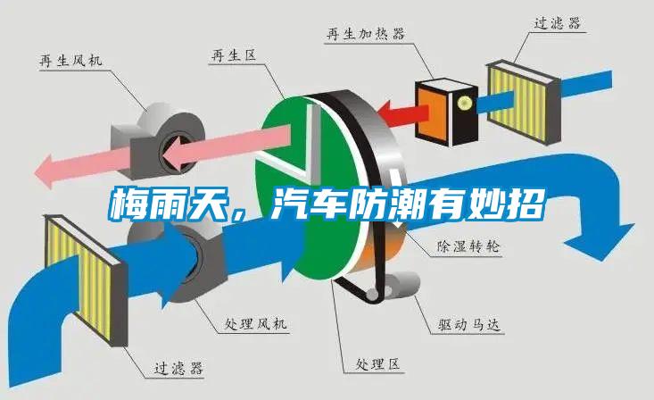 梅雨天，汽車防潮有妙招