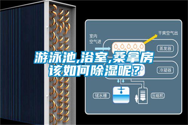 游泳池,浴室,桑拿房該如何除濕呢？