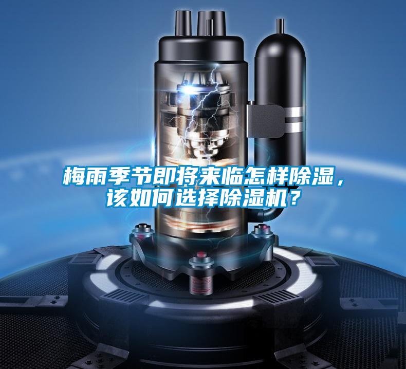 梅雨季節即將來臨怎樣除濕，該如何選擇除濕機？