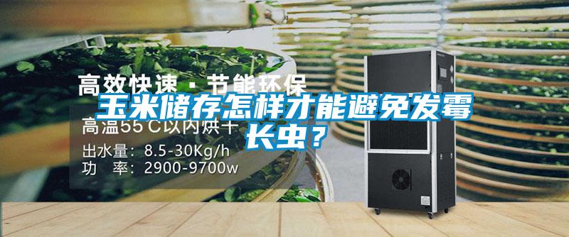 玉米儲(chǔ)存怎樣才能避免發(fā)霉長(zhǎng)蟲(chóng)？