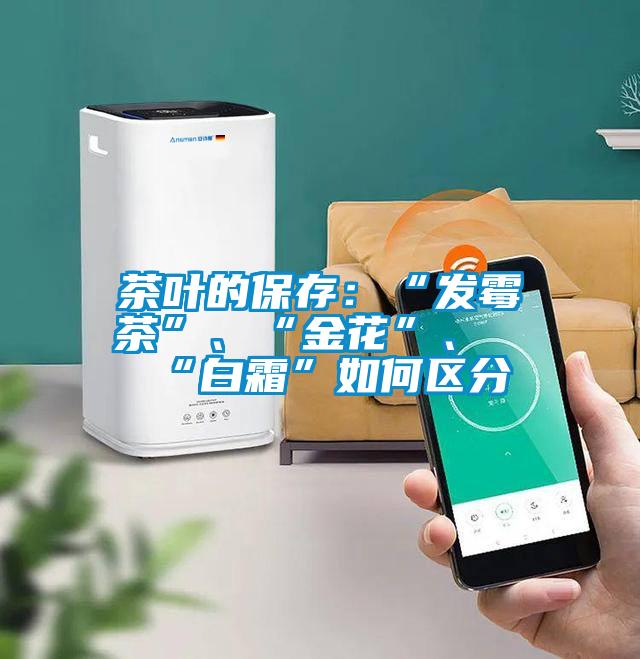 茶葉的保存：“發霉茶”、“金花”、“白霜”如何區分