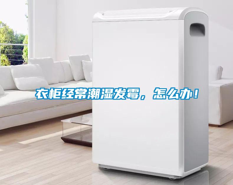 衣柜經常潮濕發霉，怎么辦！