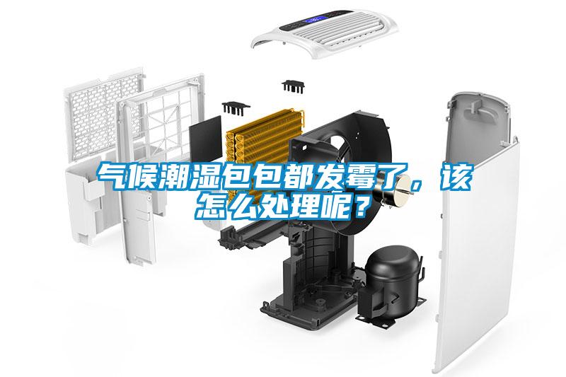 氣候潮濕包包都發霉了，該怎么處理呢？