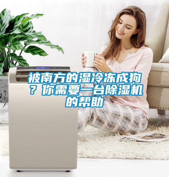 被南方的濕冷凍成狗？你需要一臺除濕機的幫助