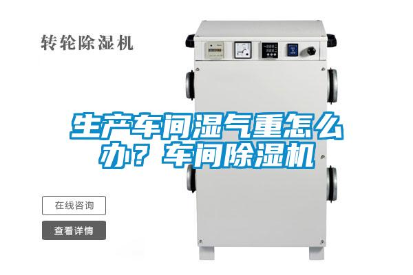 生產車間濕氣重怎么辦？車間除濕機