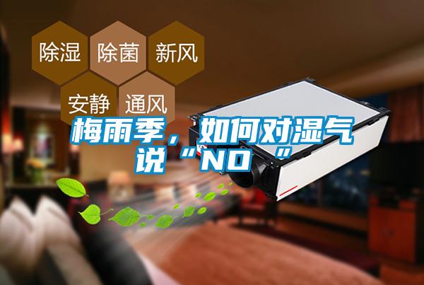 梅雨季，如何對(duì)濕氣說(shuō)“NO ”