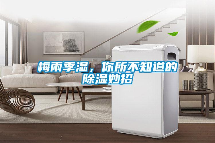 梅雨季濕，你所不知道的除濕妙招