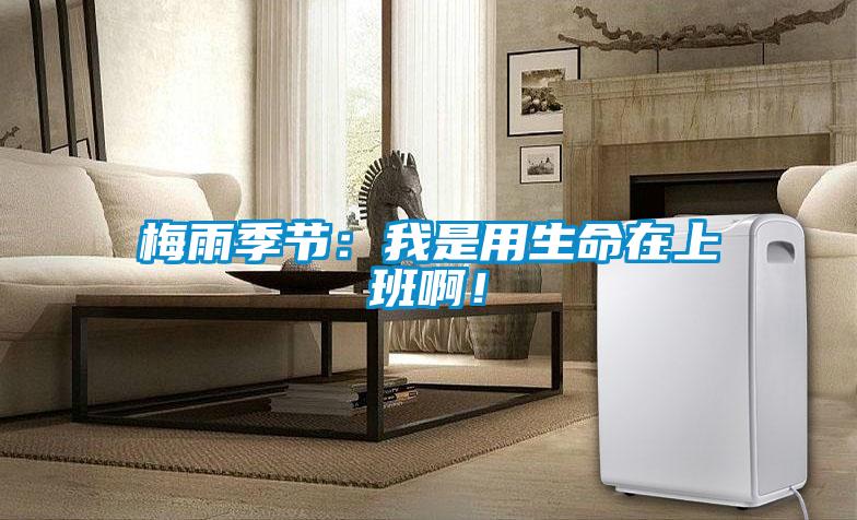 梅雨季節(jié)：我是用生命在上班啊！