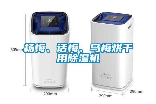 楊梅、話梅、烏梅烘干用除濕機(jī)