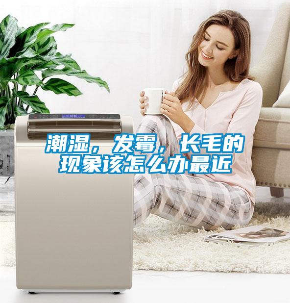 潮濕，發霉，長毛的現象該怎么辦最近