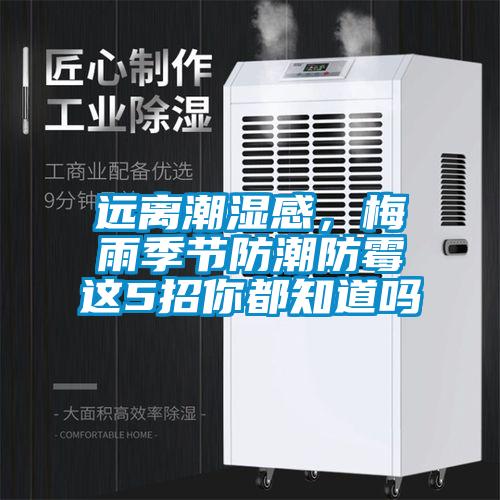 遠(yuǎn)離潮濕感，梅雨季節(jié)防潮防霉這5招你都知道嗎