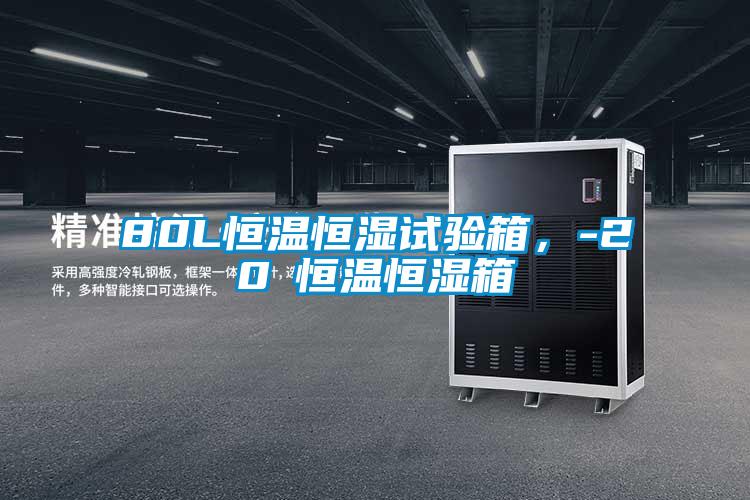 80L恒溫恒濕試驗箱，-20℃恒溫恒濕箱