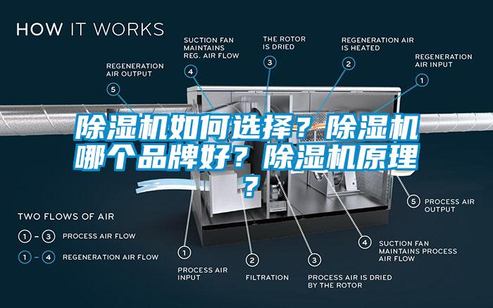 除濕機(jī)如何選擇？除濕機(jī)哪個(gè)品牌好？除濕機(jī)原理？