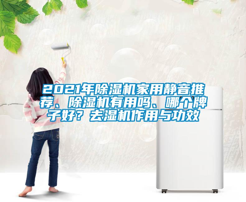 2021年除濕機家用靜音推薦、除濕機有用嗎、哪個牌子好？去濕機作用與功效
