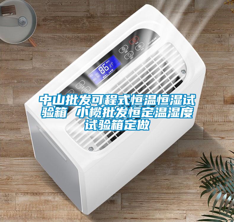中山批發(fā)可程式恒溫恒濕試驗(yàn)箱 小欖批發(fā)恒定溫濕度試驗(yàn)箱定做