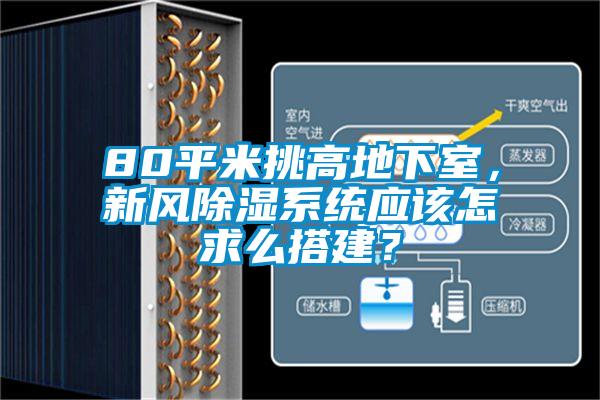 80平米挑高地下室，新風(fēng)除濕系統(tǒng)應(yīng)該怎求么搭建？