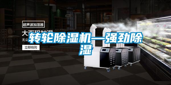 轉(zhuǎn)輪除濕機—強勁除濕