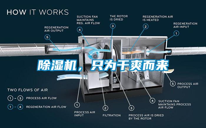 除濕機(jī)，只為干爽而來