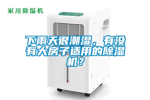 下雨天很潮濕，有沒有大房子適用的除濕機？