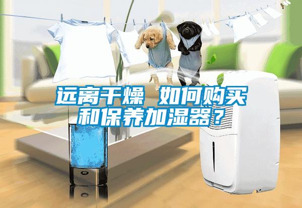遠離干燥 如何購買和保養加濕器？