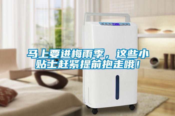 馬上要進梅雨季，這些小貼士趕緊提前抱走哦！