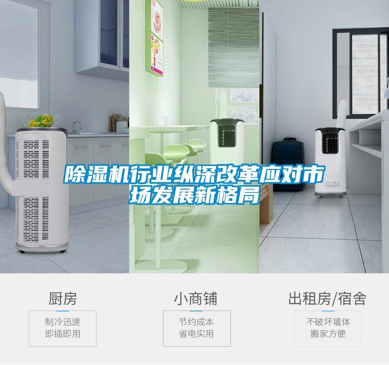 除濕機行業(yè)縱深改革應(yīng)對市場發(fā)展新格局