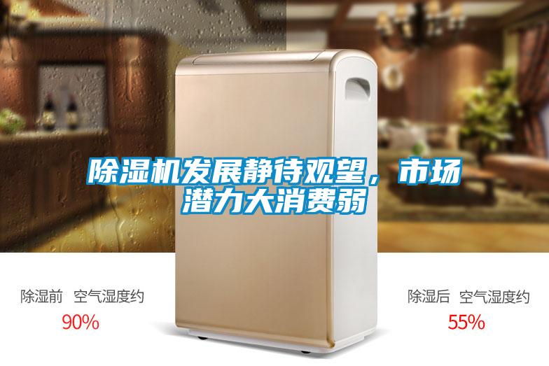 除濕機(jī)發(fā)展靜待觀望，市場(chǎng)潛力大消費(fèi)弱