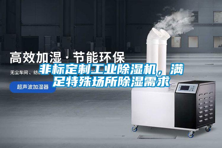 非標定制工業(yè)除濕機，滿足特殊場所除濕需求