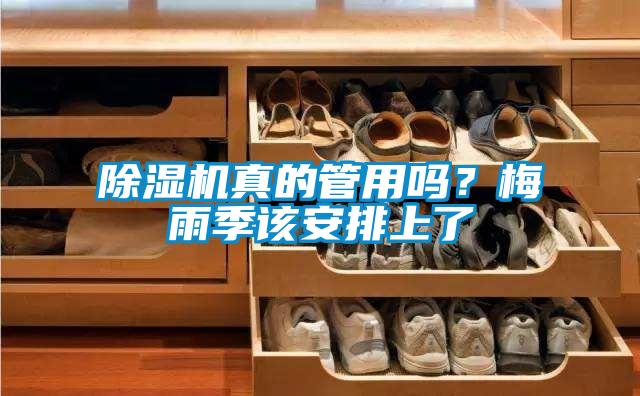 除濕機(jī)真的管用嗎？梅雨季該安排上了