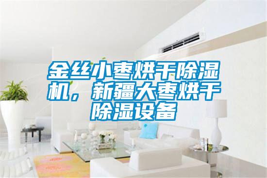 金絲小棗烘干除濕機，新疆大棗烘干除濕設(shè)備