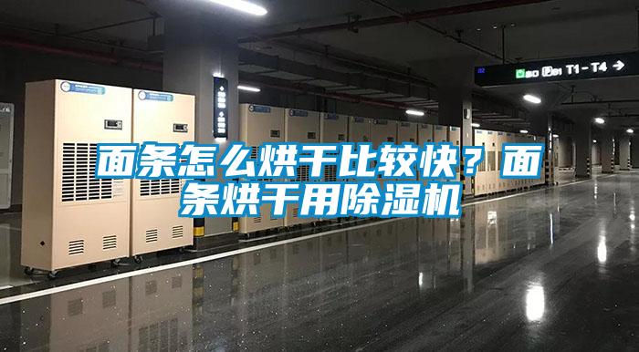 面條怎么烘干比較快？面條烘干用除濕機
